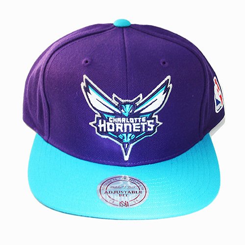 mitchell & ness charlotte hornets